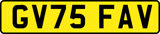 GV75FAV