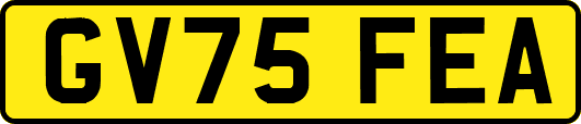 GV75FEA