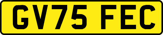 GV75FEC