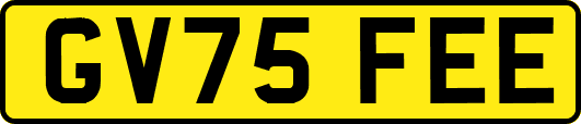GV75FEE
