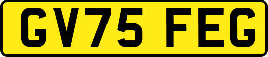 GV75FEG
