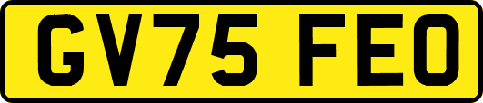 GV75FEO