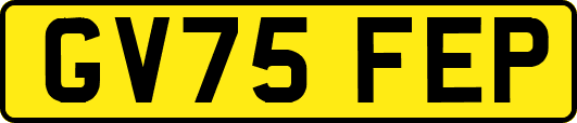GV75FEP