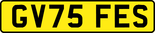 GV75FES