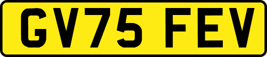 GV75FEV