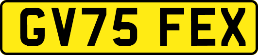 GV75FEX