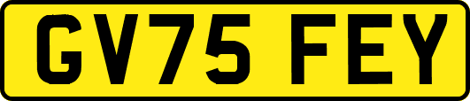 GV75FEY