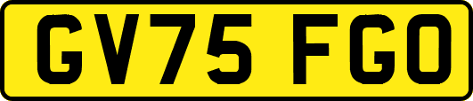 GV75FGO