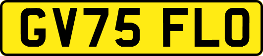 GV75FLO