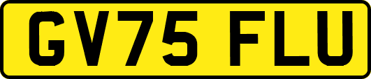 GV75FLU