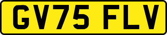GV75FLV