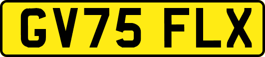 GV75FLX