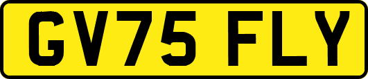 GV75FLY