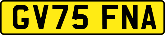 GV75FNA