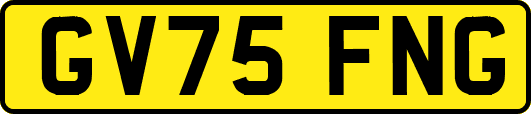GV75FNG