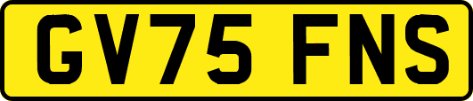 GV75FNS