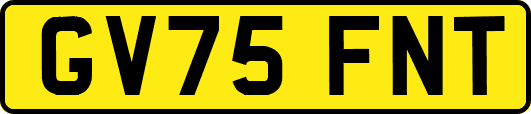 GV75FNT