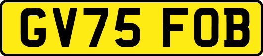 GV75FOB