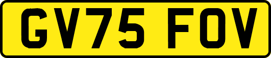 GV75FOV