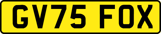 GV75FOX