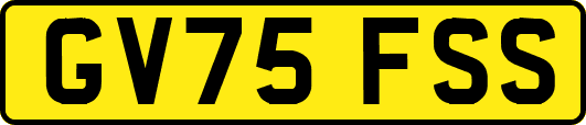 GV75FSS