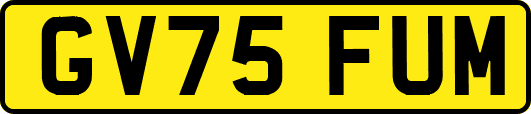 GV75FUM
