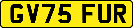GV75FUR