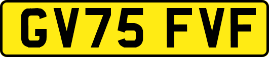 GV75FVF
