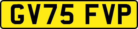 GV75FVP