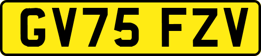 GV75FZV