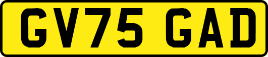 GV75GAD