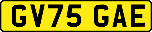 GV75GAE