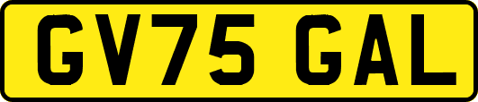 GV75GAL