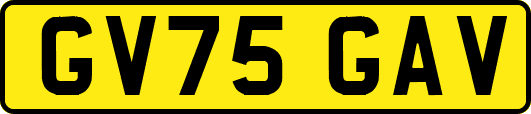 GV75GAV