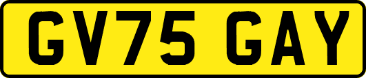 GV75GAY