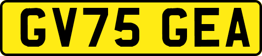 GV75GEA