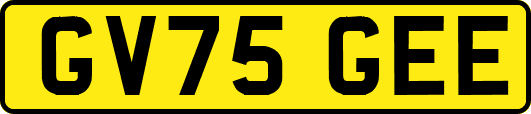 GV75GEE