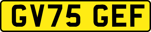 GV75GEF