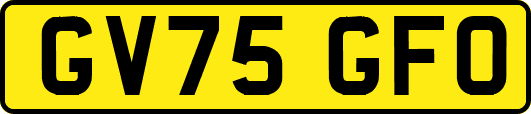 GV75GFO