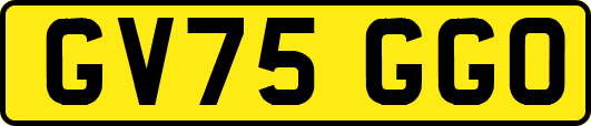 GV75GGO