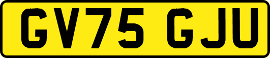 GV75GJU