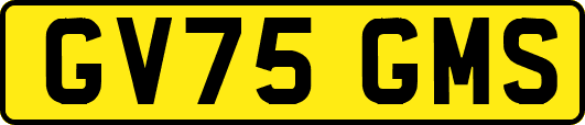 GV75GMS