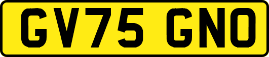 GV75GNO