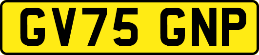 GV75GNP