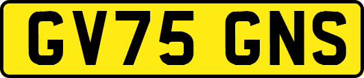 GV75GNS