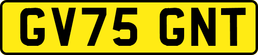 GV75GNT