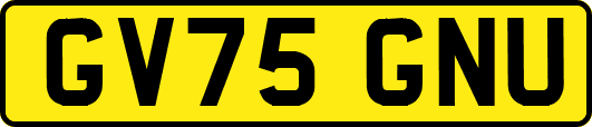 GV75GNU