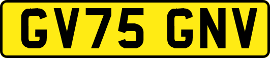 GV75GNV