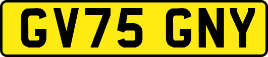GV75GNY