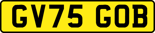 GV75GOB